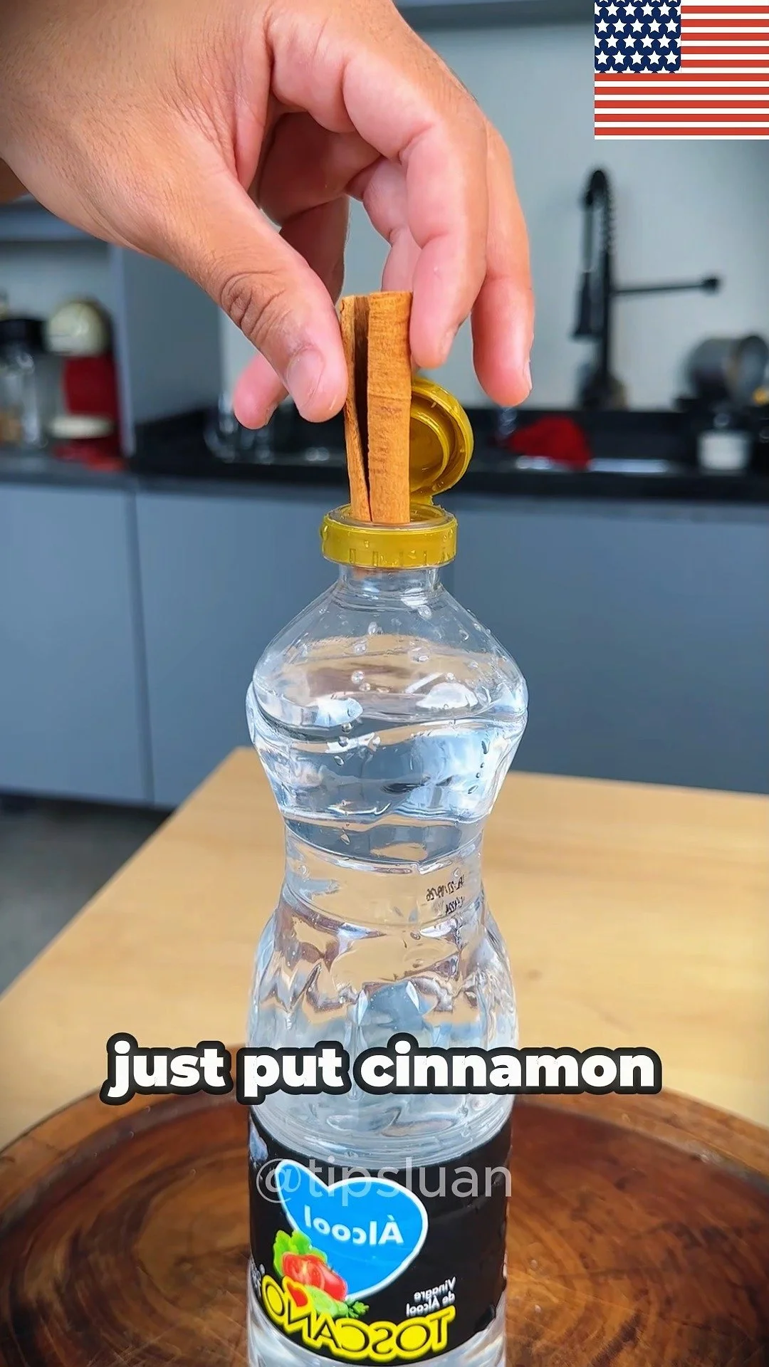 Cinnamon sticks infused in vinegar for natural solutions