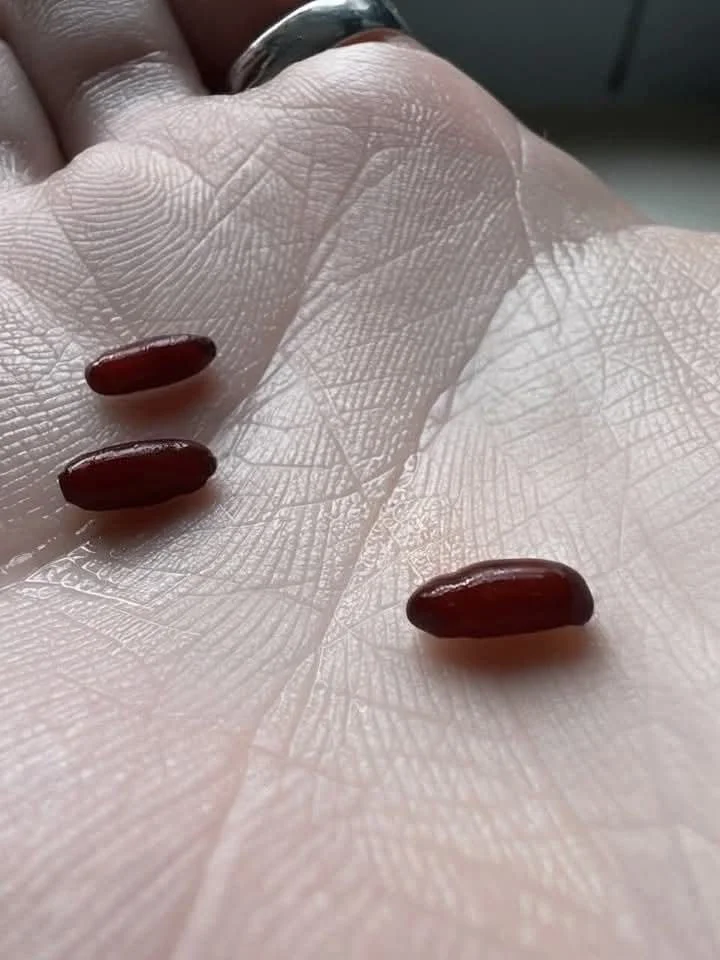 Creepy object discovered on a bed, sparking curiosity and concern.