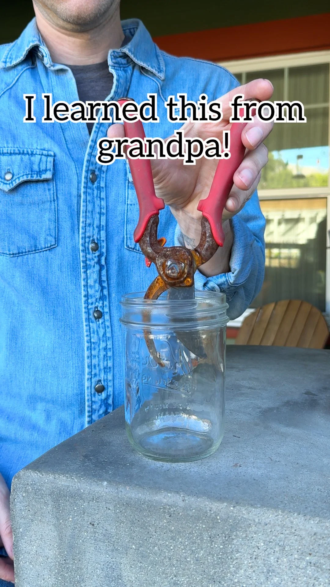 Rusted garden shears being soaked in vinegar for derusting