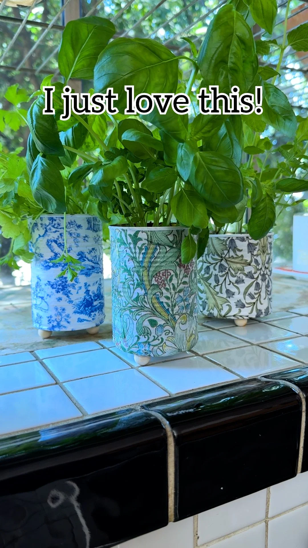 Colorful tin can craft projects for home decoration and DIY inspiration.