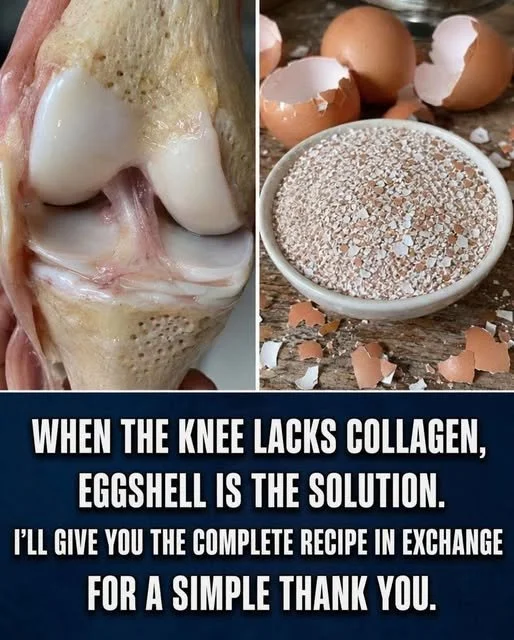 Benefits and uses of eggshells in gardening and home remedies