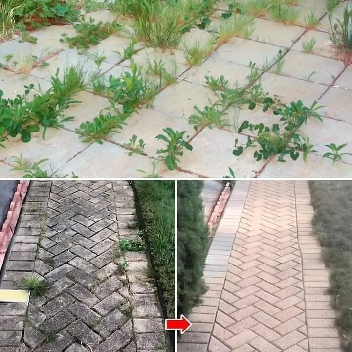 Natural methods to eliminate weeds permanently in your garden.