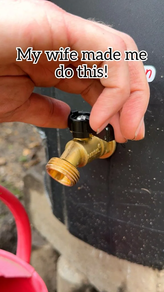 DIY rain barrel for gardening water conservation