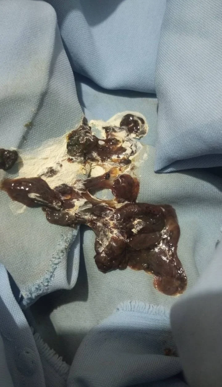 Unfit chicken with warning signs indicating spoilage.