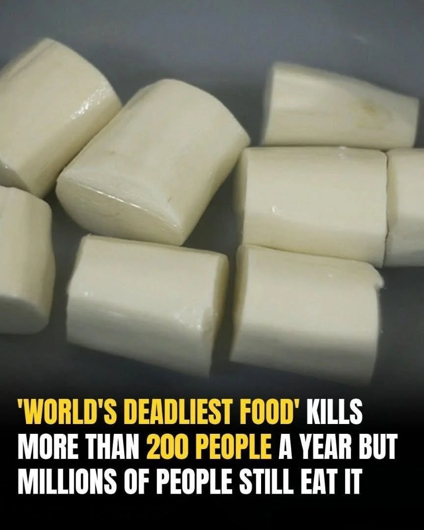 A dish with the world's deadliest food that causes over 200 deaths annually.