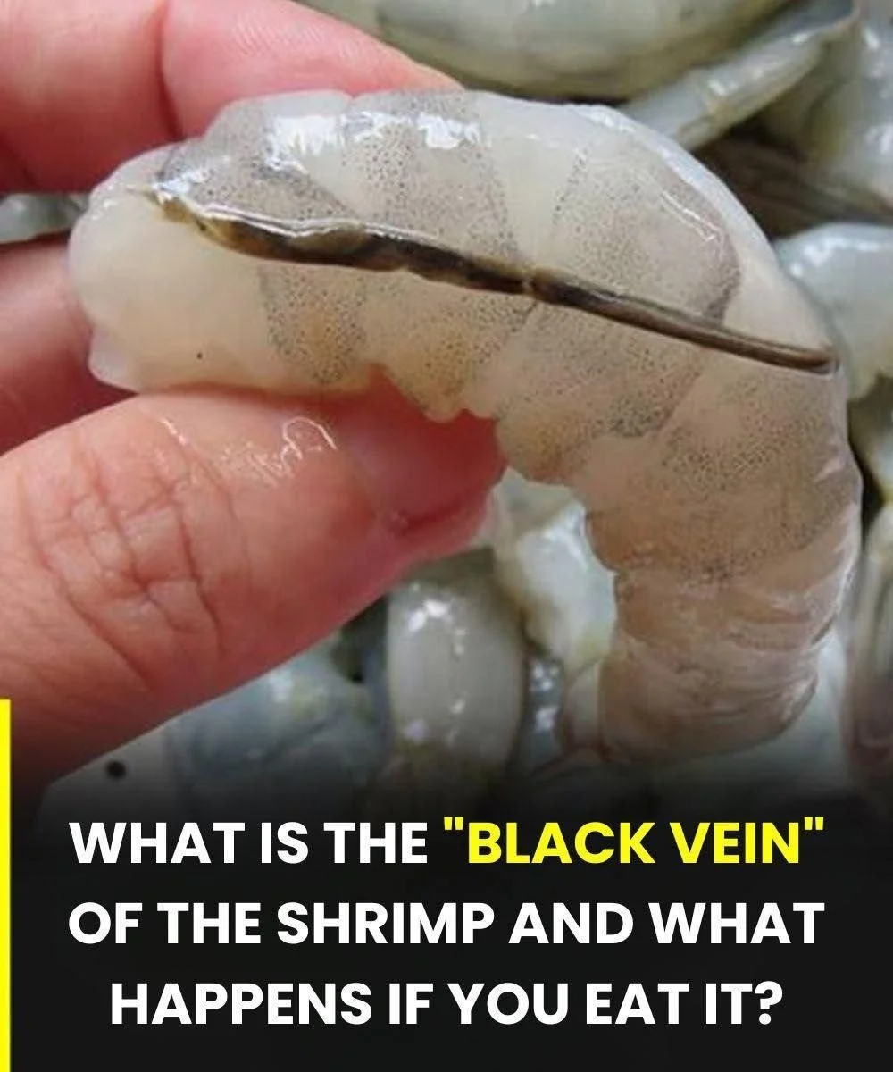 Close-up of shrimp with vein highlighted, showcasing culinary importance.