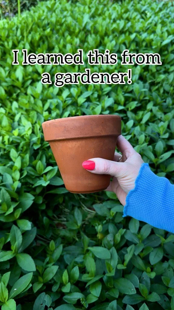 Smart home garden ideas for flowers, planting tips, and maintenance strategies.