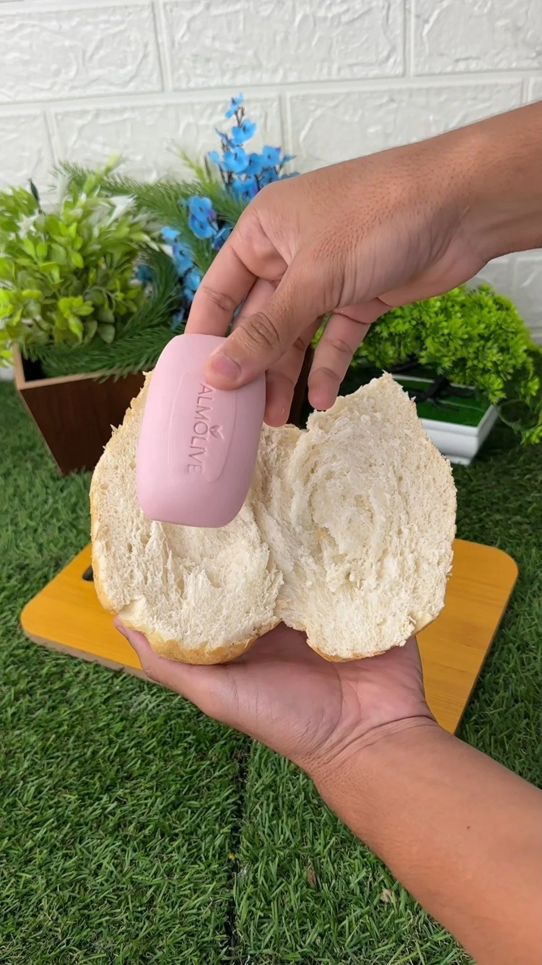 Using soap and bread trick to eliminate pests naturally