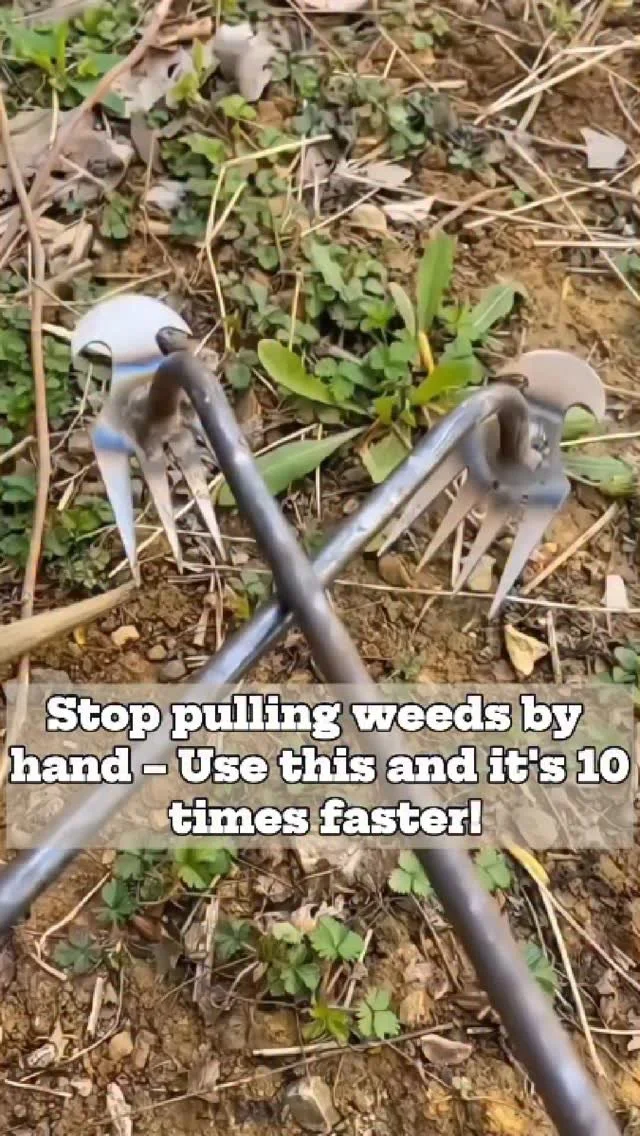 Efficient weeding tool for fast and easy weed removal in your garden