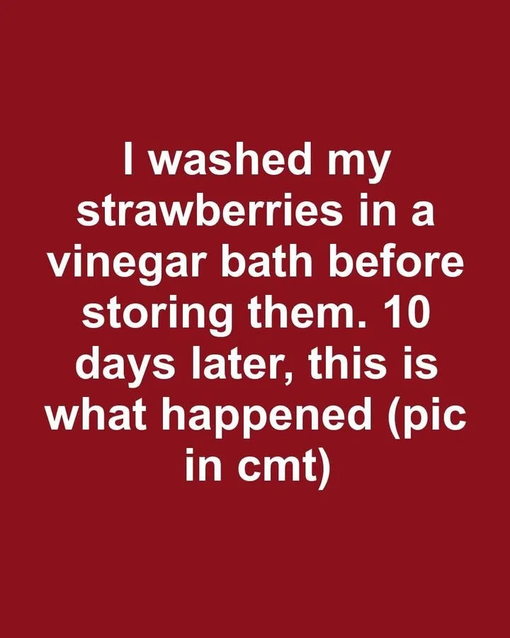 Storing strawberries in a vinegar bath for extended freshness