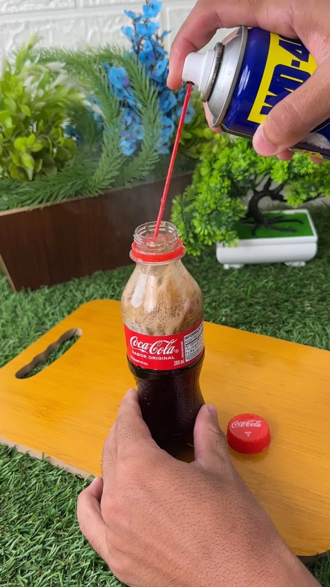 Can of Coca-Cola with WD-40 next to it, highlighting potential dangers.