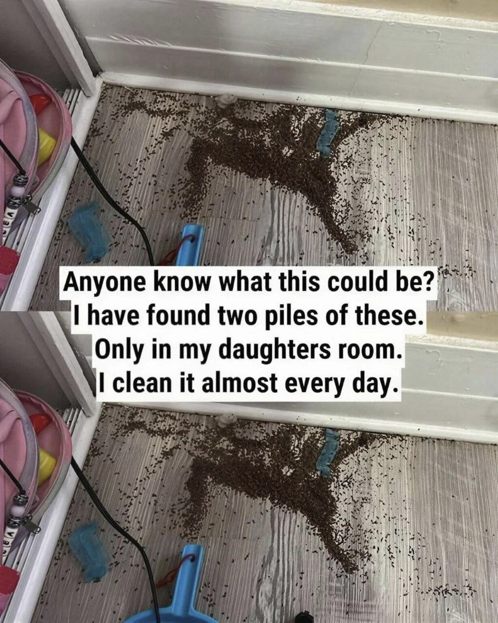 Two piles of items discovered in a child's room, prompting questions and curiosity.