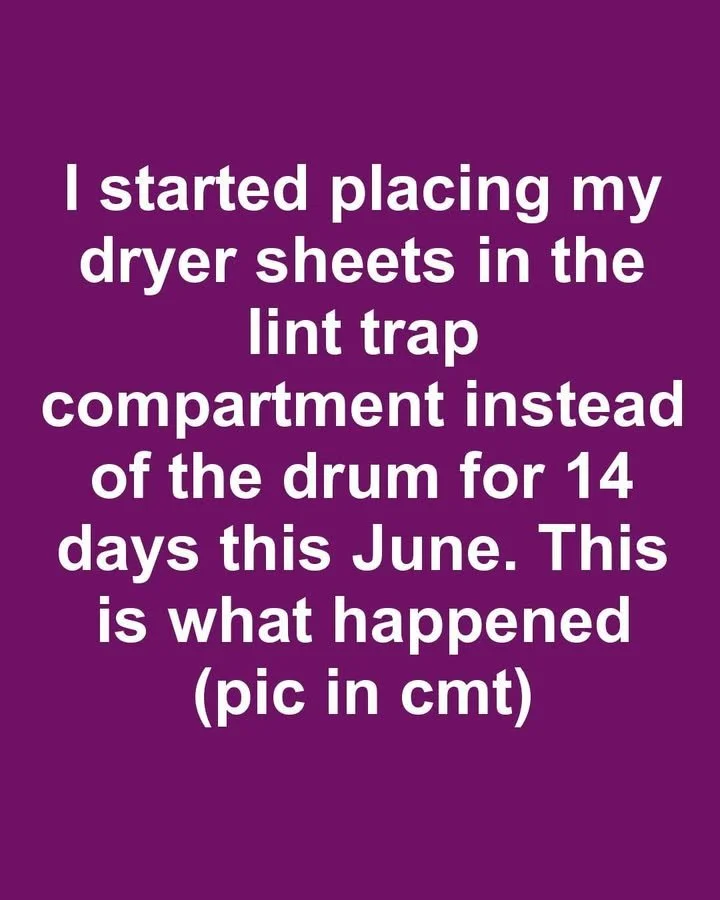 Dryer sheets placed in lint trap for 14 days experiment