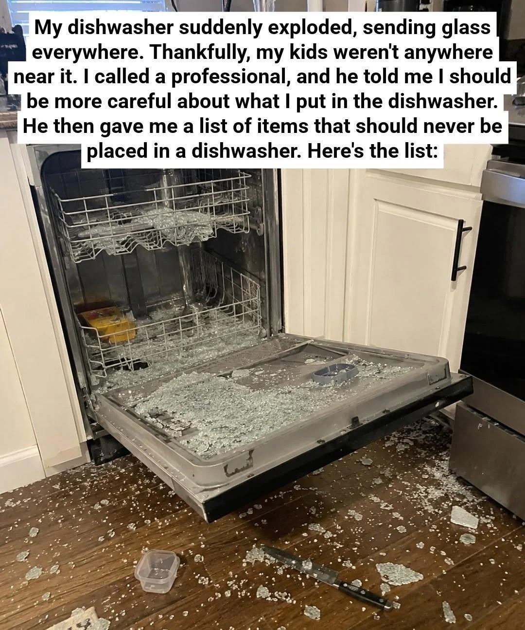 Items not recommended for dishwasher use and their reasons