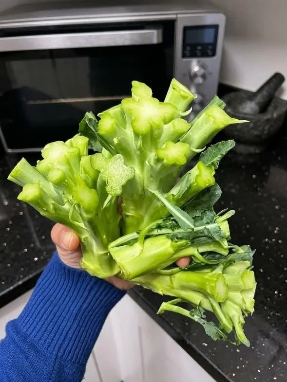 Fresh broccoli stems ready for cooking and reducing food waste.