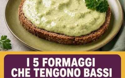 Formaggi leggeri per colesterolo: i migliori per una dieta equilibrata