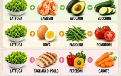 A variety of colorful protein salads for healthy weekly lunches
