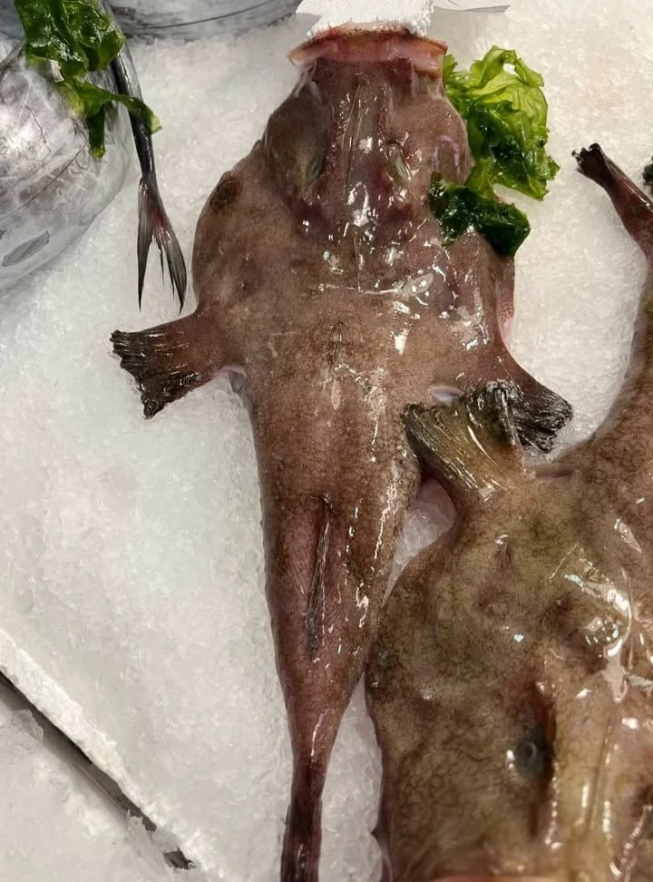 Specie di pesce simile a quella descritta nell'articolo