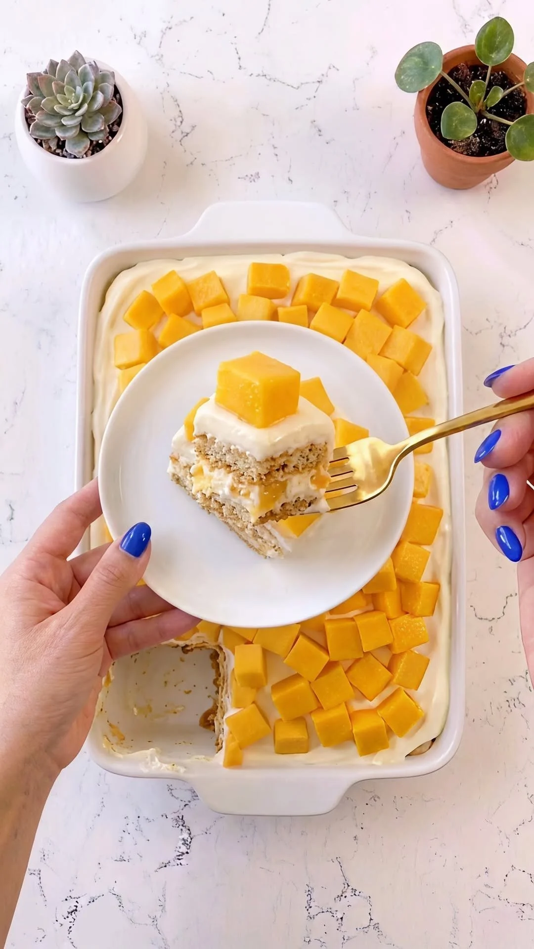 A delicious slice of Mango Tiramisu topped with fresh mango slices.